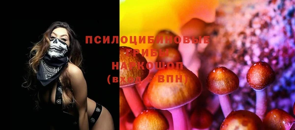 спиды Михайлов