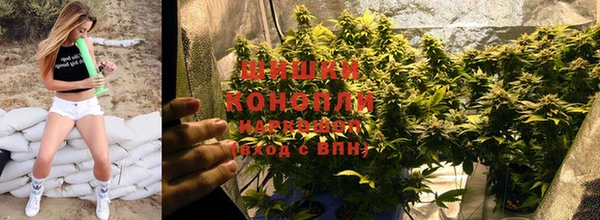 спиды Михайлов
