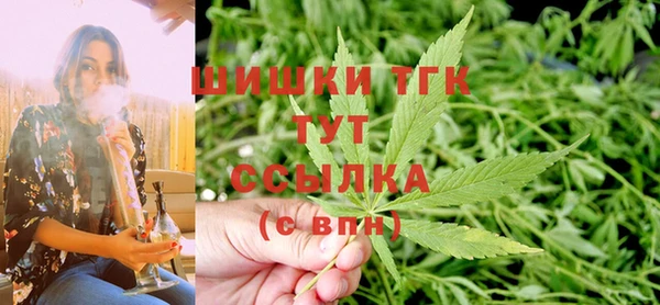 спиды Михайлов