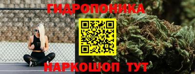 гидра Коммунар