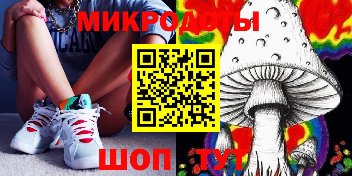 Галлюциногенные грибы Psilocybe Первоуральск